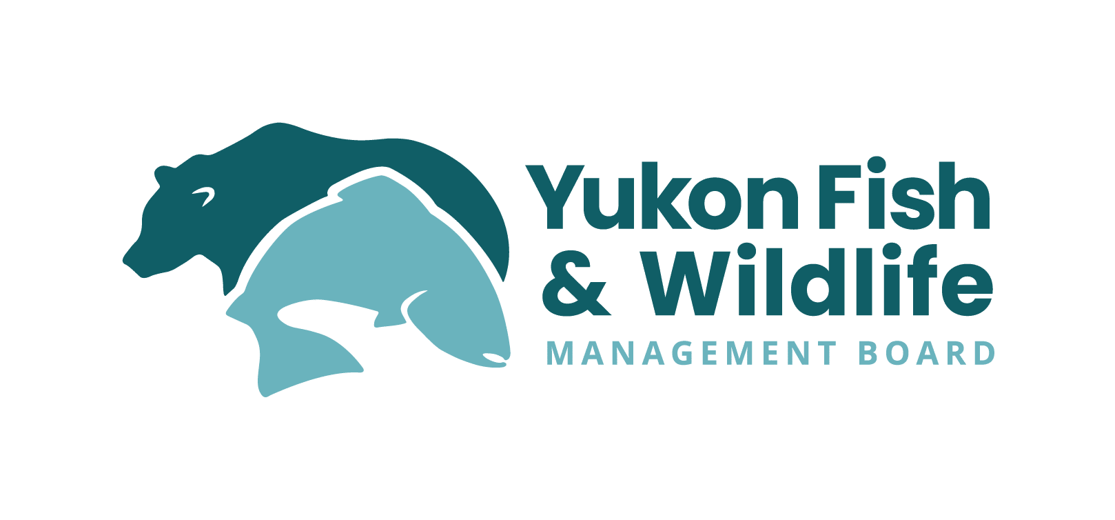 Mine Review Begins In Yukon Despite First Nation Concerns Yukon Fish