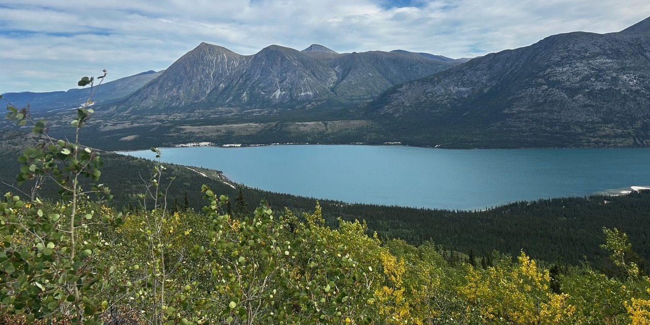 image2 (2)